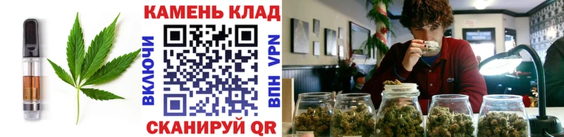 дарк нет наркотические препараты  Аткарск  Еда ТГК марихуана 