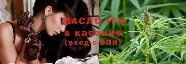 мет Алексин