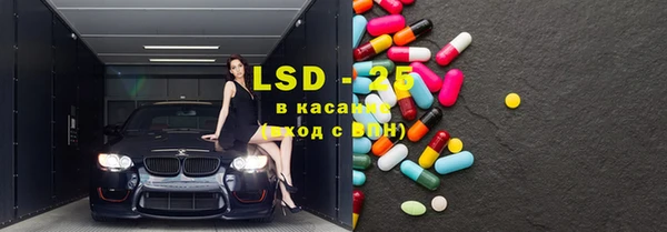 стаф Алзамай