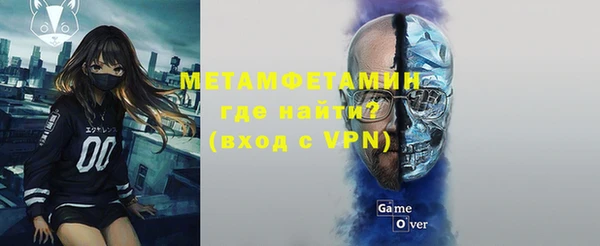 ГАЛЛЮЦИНОГЕННЫЕ ГРИБЫ Аркадак