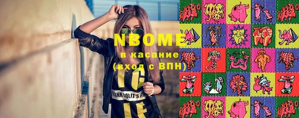 стаф Алзамай