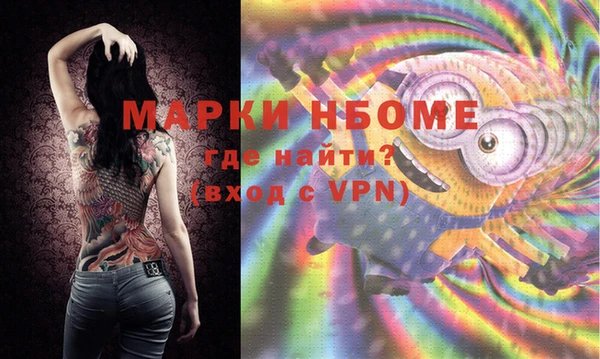 мет Алексин